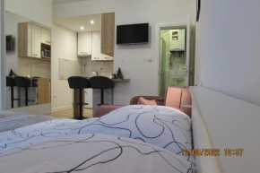 Studio apartman Oboj Maksimir Rebro